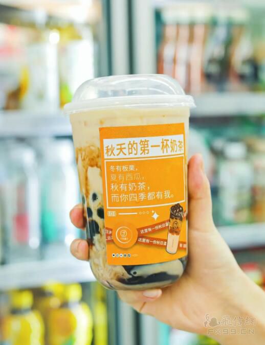 “失去”东南亚的中国光伏企业该去哪里？